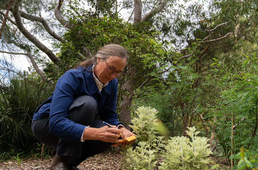 Scientist Marlien Van Der Merwe crouches next to a flowering shrub in the Australian bushland.