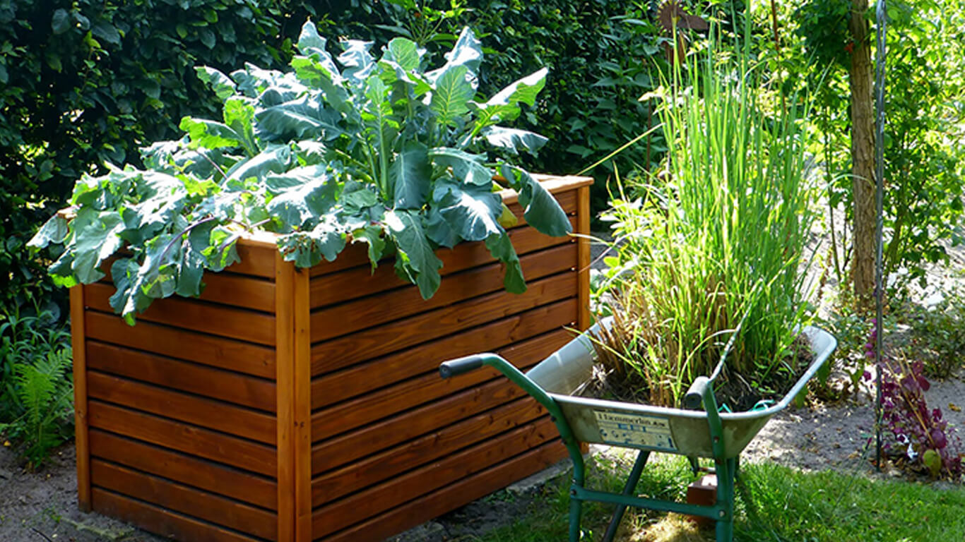 wheelbarrow and raised garden bed