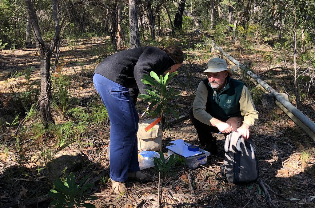 Researchers in the field at the Bmbg