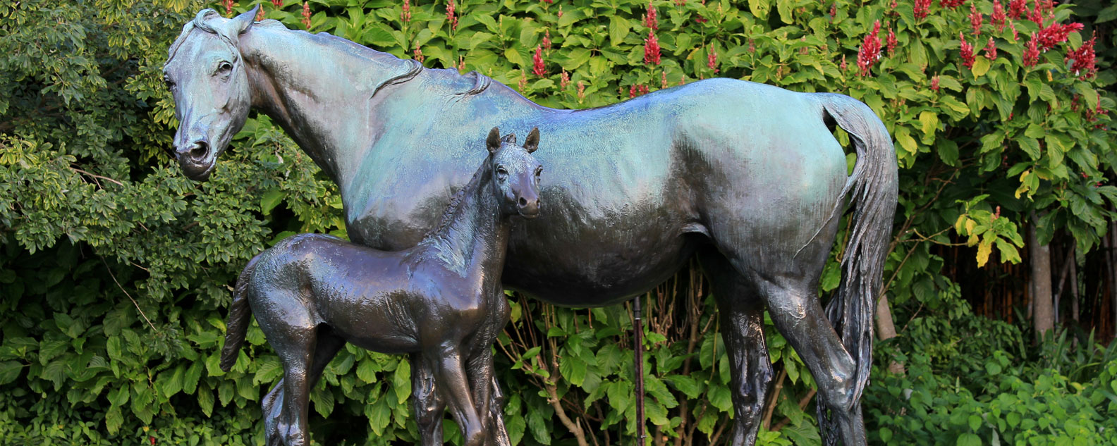 Mare and Foal Bronze sculpture in the Royal Botanic Garden Sydney