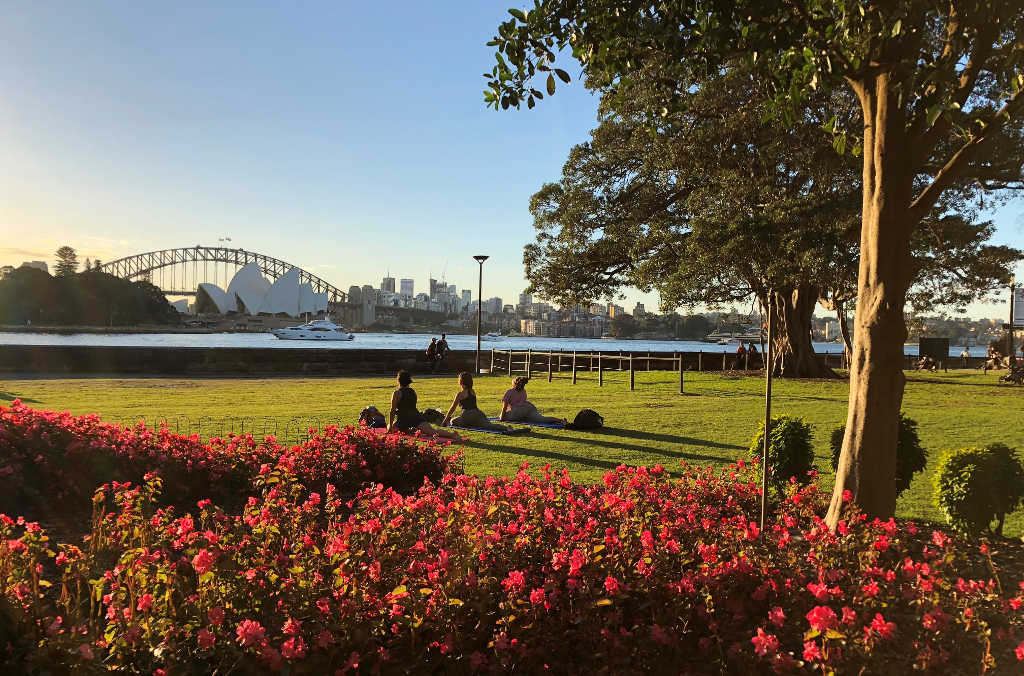 harbour view lawn sydney 