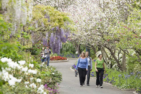 spring garden walk thumbnail 