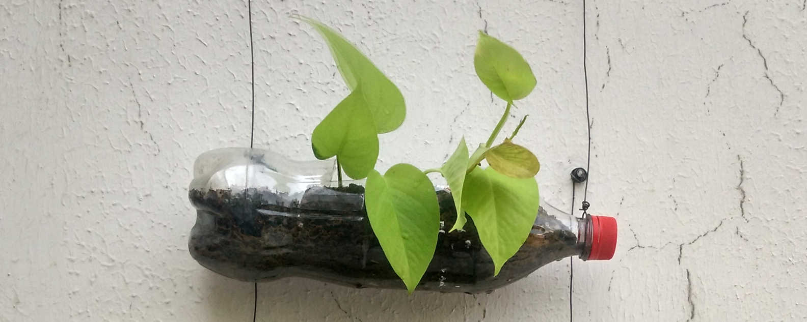 bottle planter hero