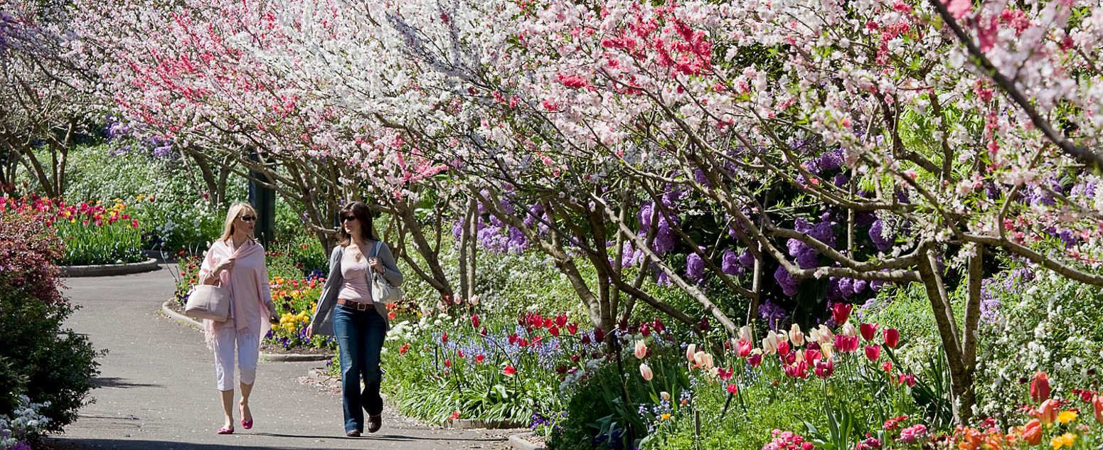 spring garden walk rbg florals