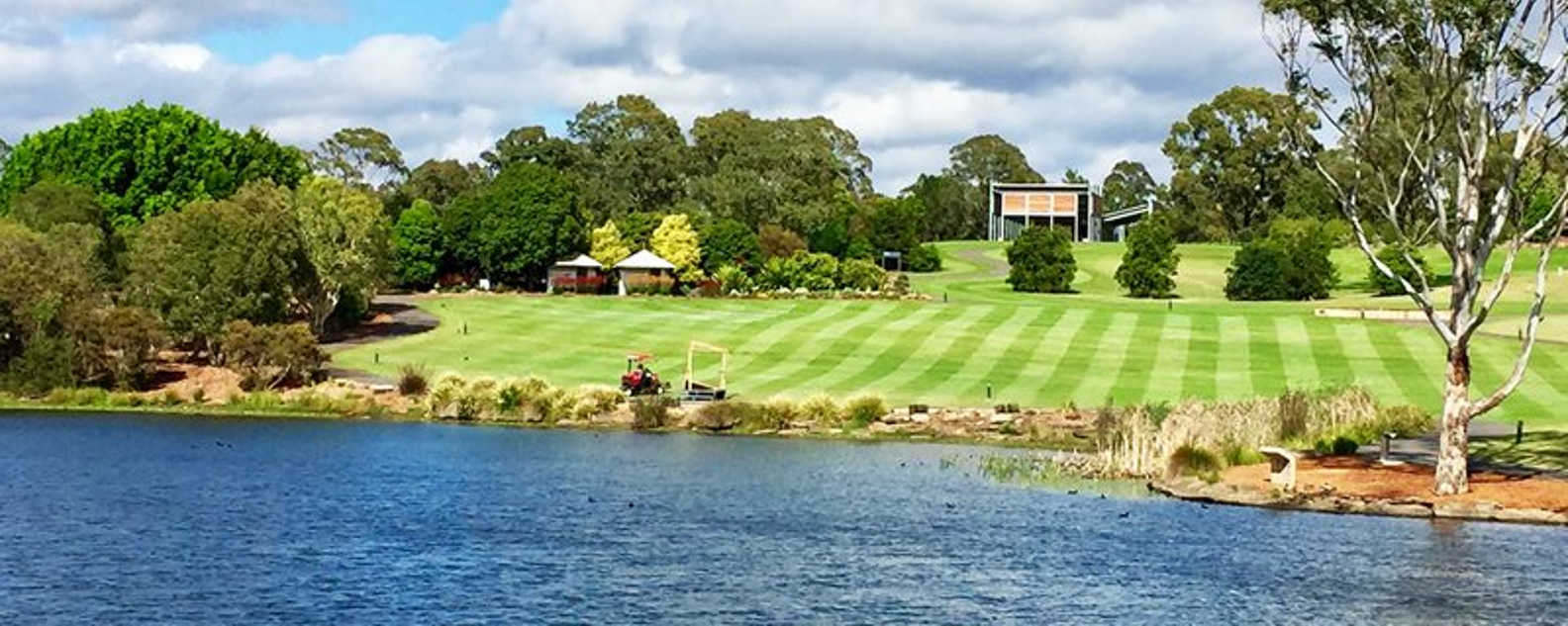 turf management water 