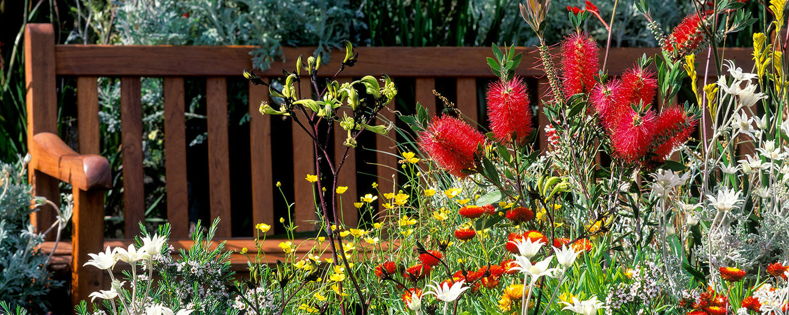 A wooden bench with a native floral arrangement in the foreground.