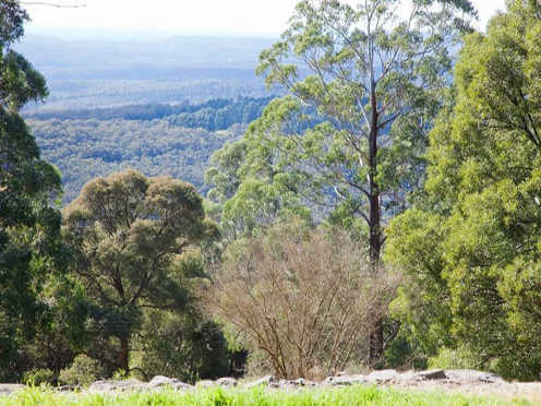 bmbg mount tomah garden