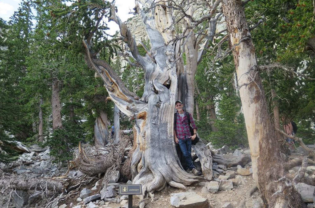 dr brett summerell at the national park 