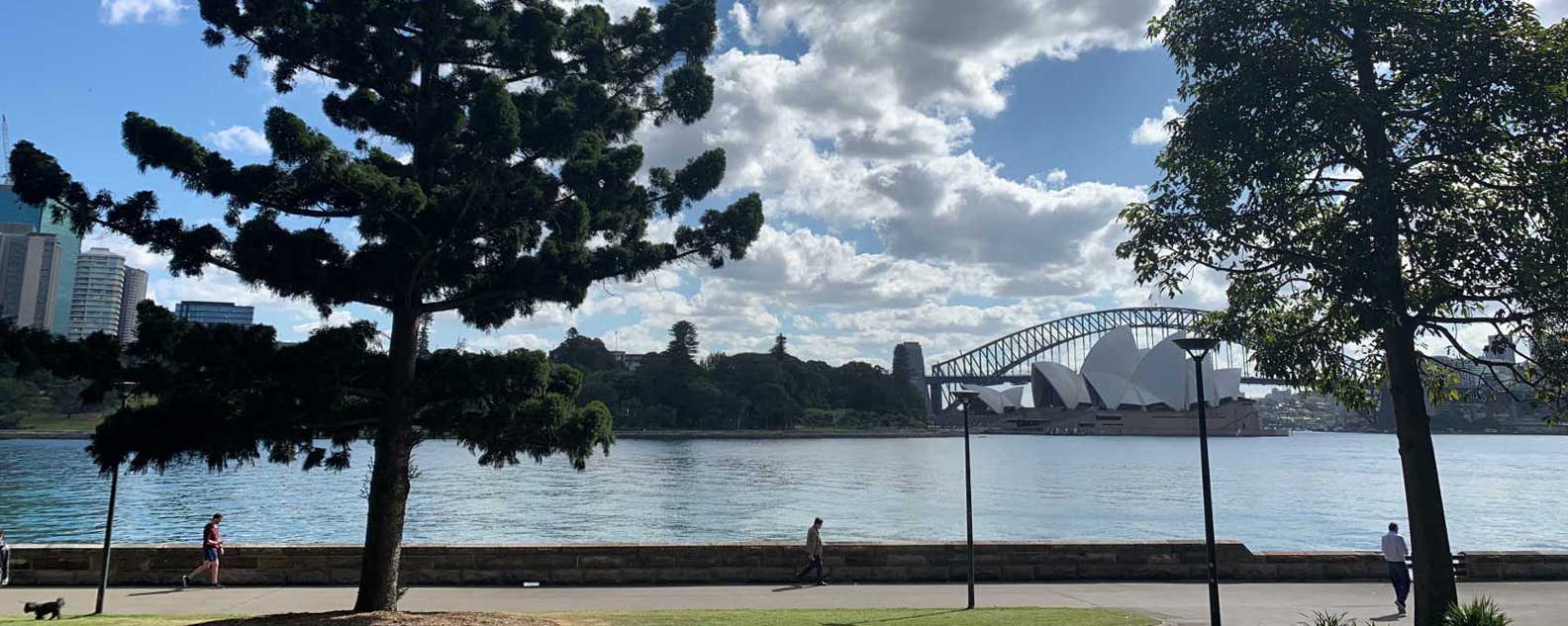 Harbour bridge view