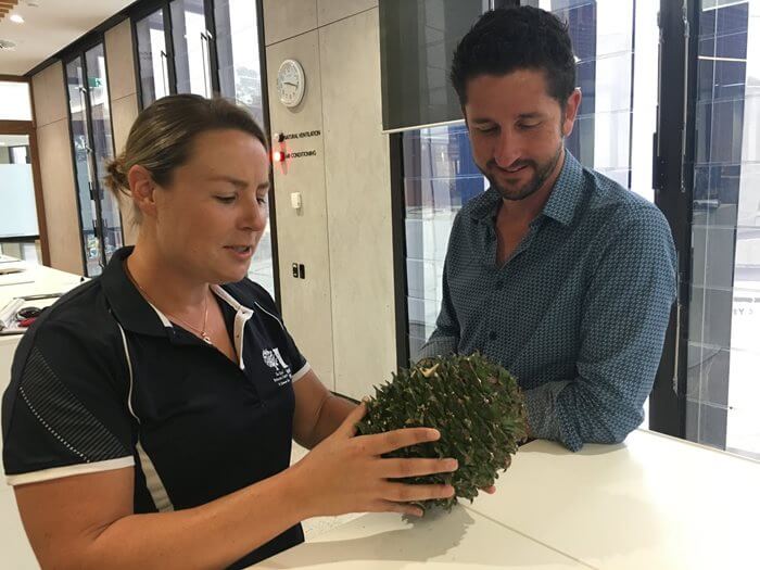 Scientists at Australian Botanic Garden Mount Annan