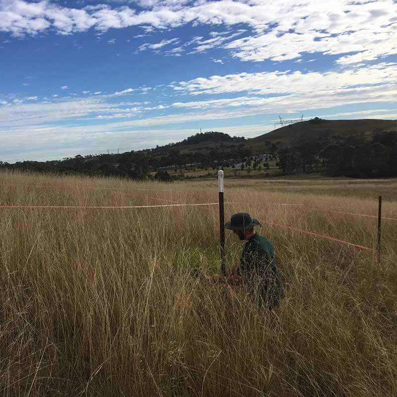 Jarryd preparing the grass for the Valentine's Day heart in the Garden