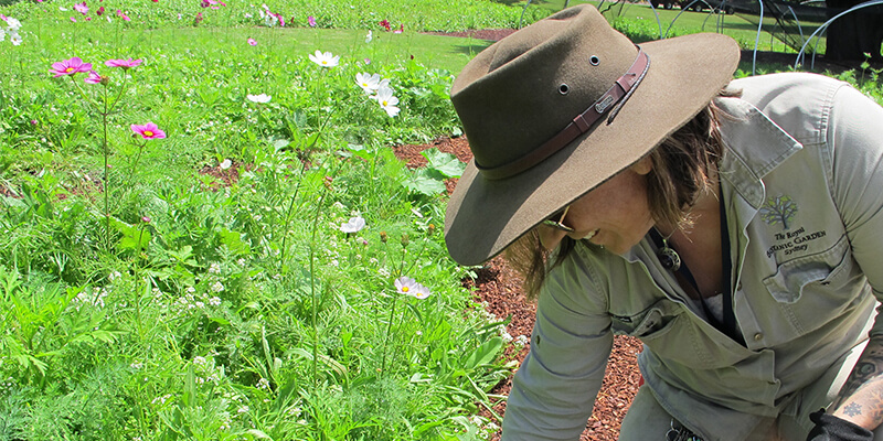 Kate Wilkie in garden