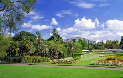 Royal Botanical Garden with Harbour bridge view