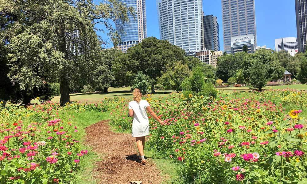 Australian Botanic Garden Mount Annan