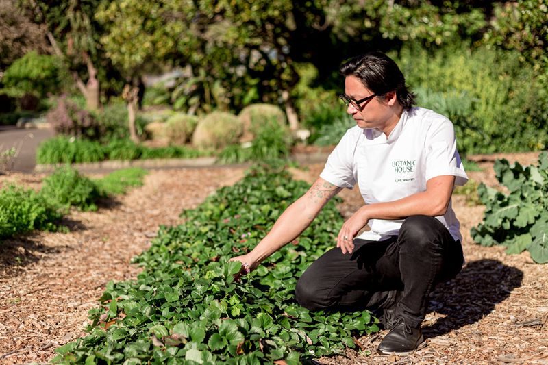 Luke Nguyen gardening vegetation