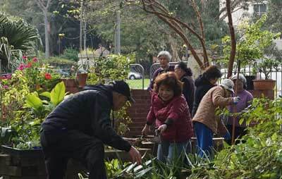 New Research Reveals The Extraordinary Benefits Of Community Gardens 