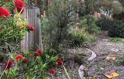 School Habitat Gardens