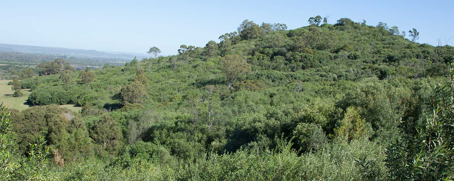 Australian Botanic Garden Mount Annan Banner