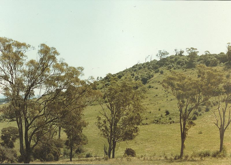 The Mount Annan summit