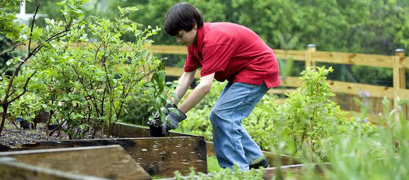 Boy gardening