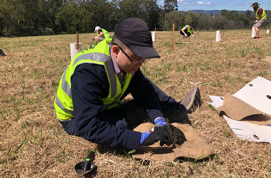 Volunteer planting a tree