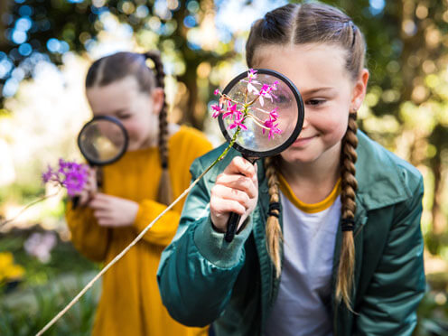 Two students with magnifying glasses looking at magenta orchids