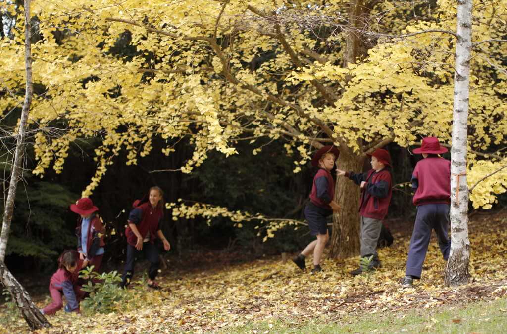 kids in the garden 1024x676