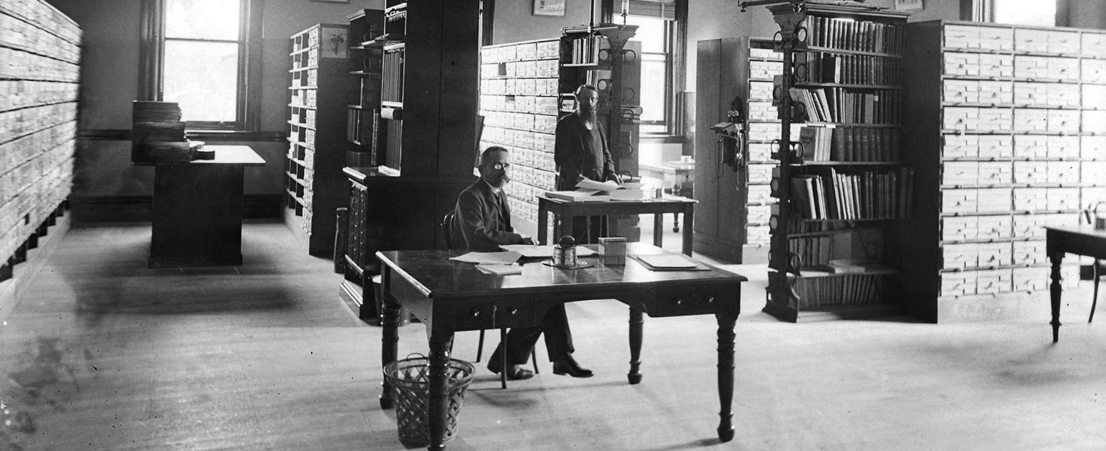 The herbarium at the Royal Botanic Garden Sydney