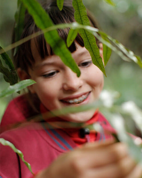 Girl looking at tree branch during school excursion