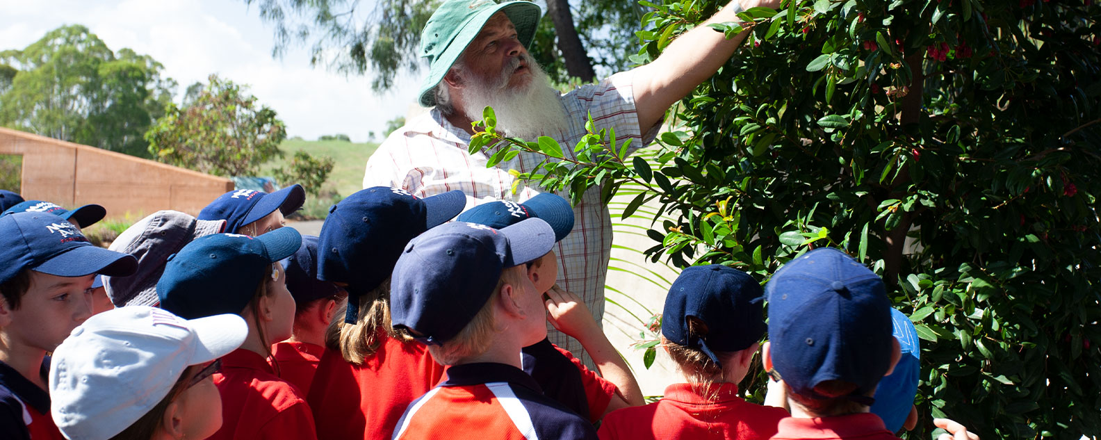 Children observing tree on school excursion at the Australian Botanic Garden Mount Annan