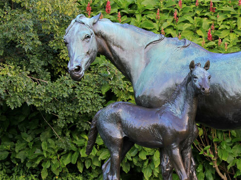 Mare and foal bronze sculpture at the Royal Botanic Garden Sydney