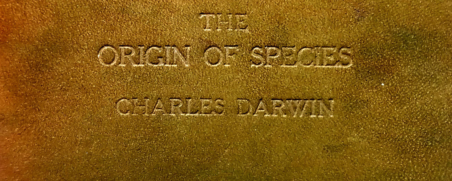 Embossed text on the cover of Charles Darwin's book 'Origin of the Species'