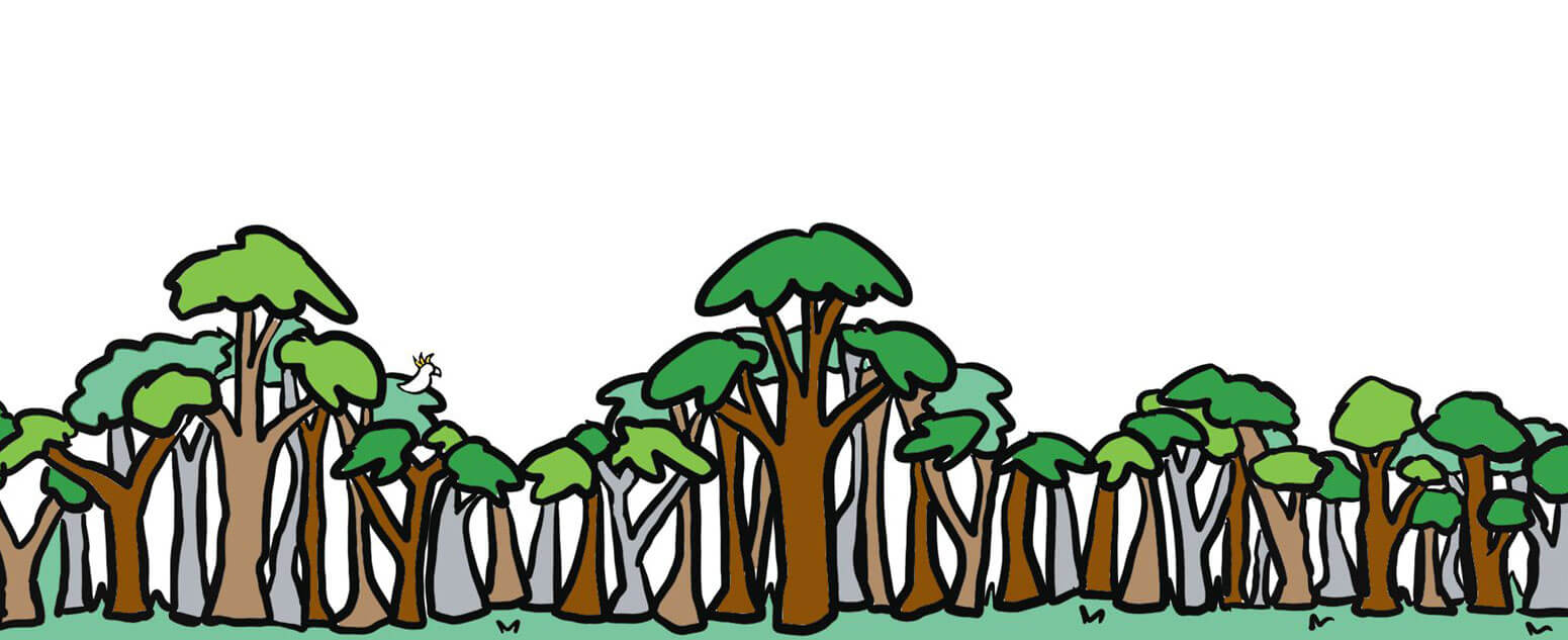 A cartoon drawing of a forest