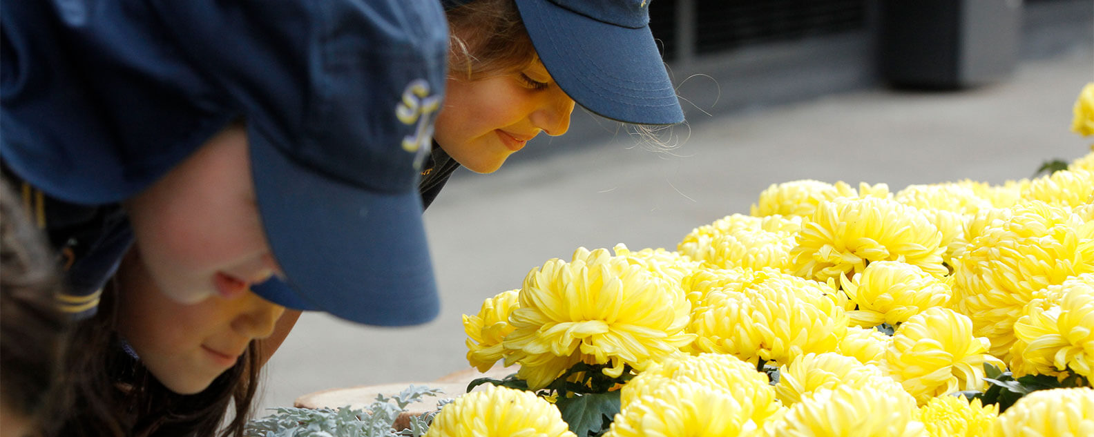 Children smelling flowers on a school excursion