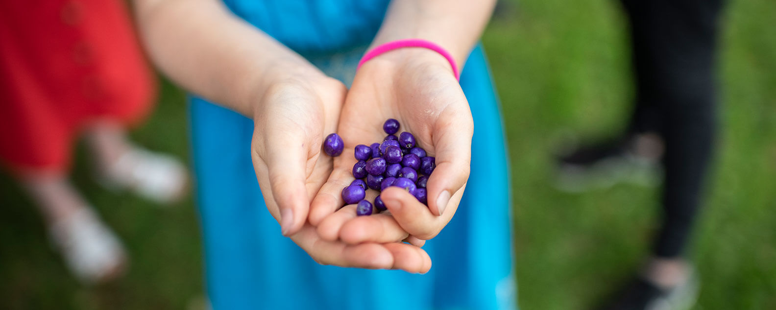 Girl holding berries