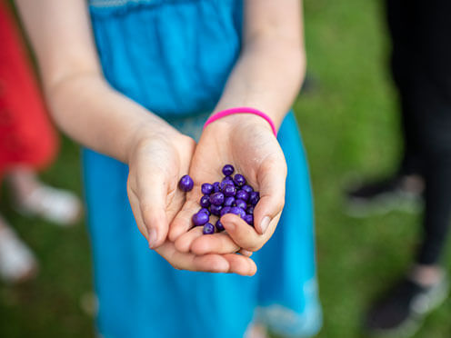 Girl holding berries