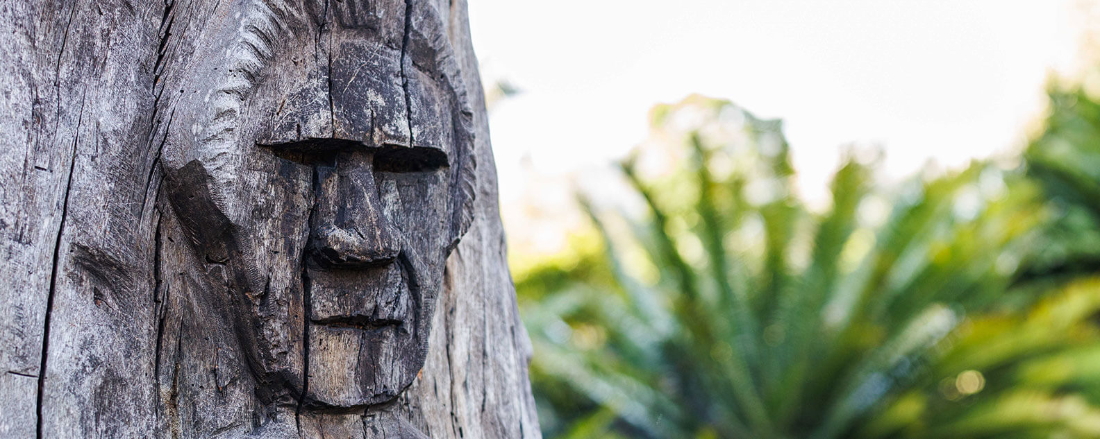 Close up of the YurraBirong sculpture at the Royal Botanic Garden Sydney