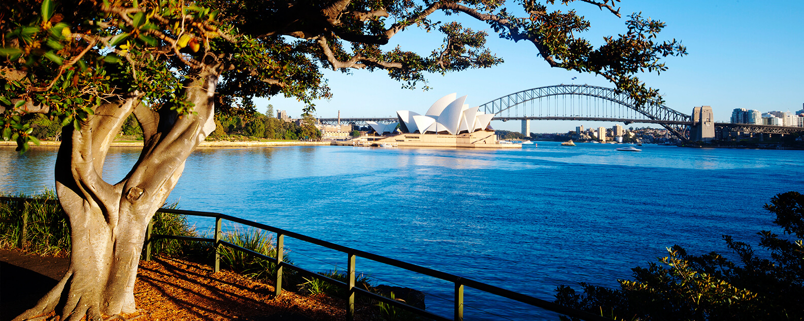 View of Sydney Harbour Opera House and Bridge from scenic Mrs Macquarie's Point