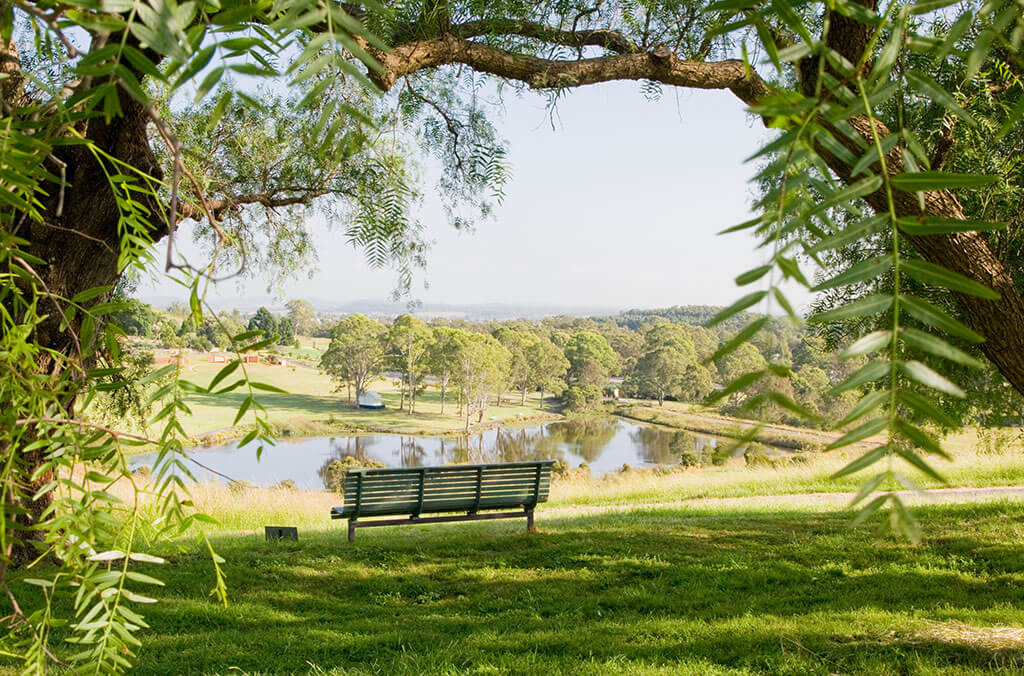 Bench amongst trees overlooking the view of the Garden