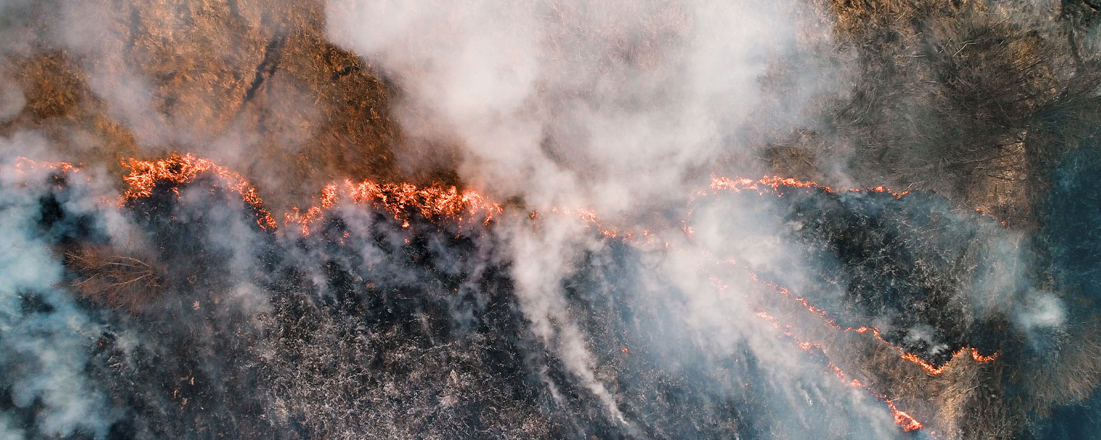 Aerial view of a large fire burning through a field