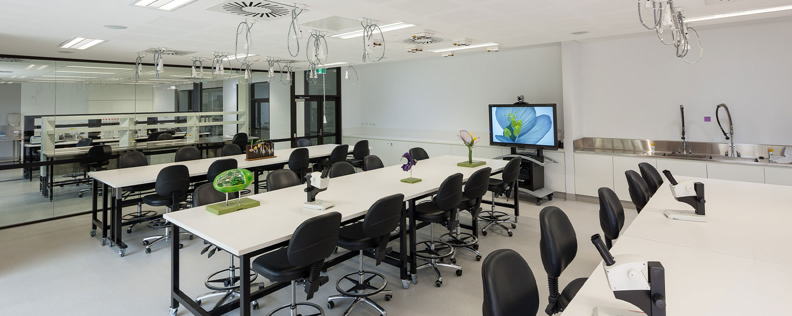 Persoonia Lab with tables, chairs and microscopes set up