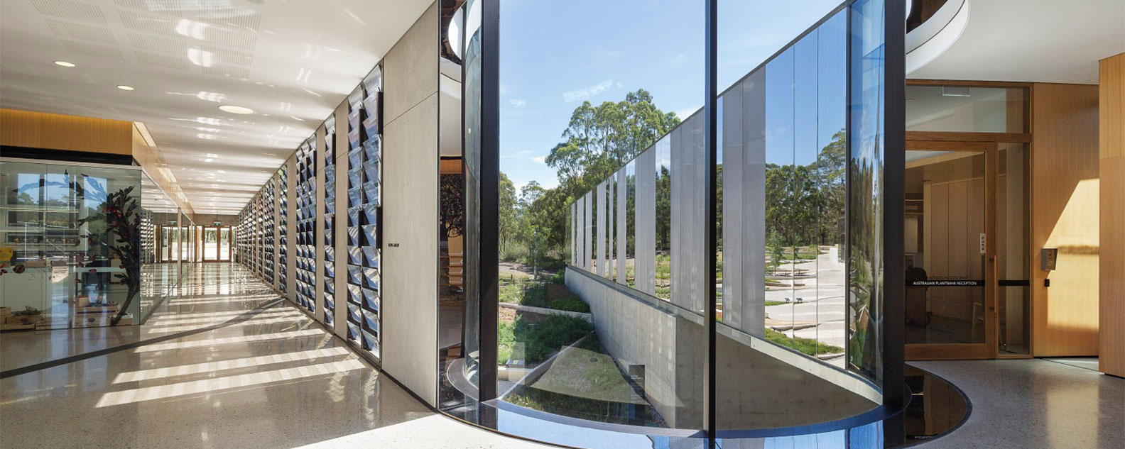 Curved window in the Telopea Gallery looking out towards the courtyard