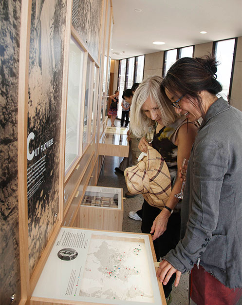 Guests in the Telopea Gallery engaging with the interpretation wall