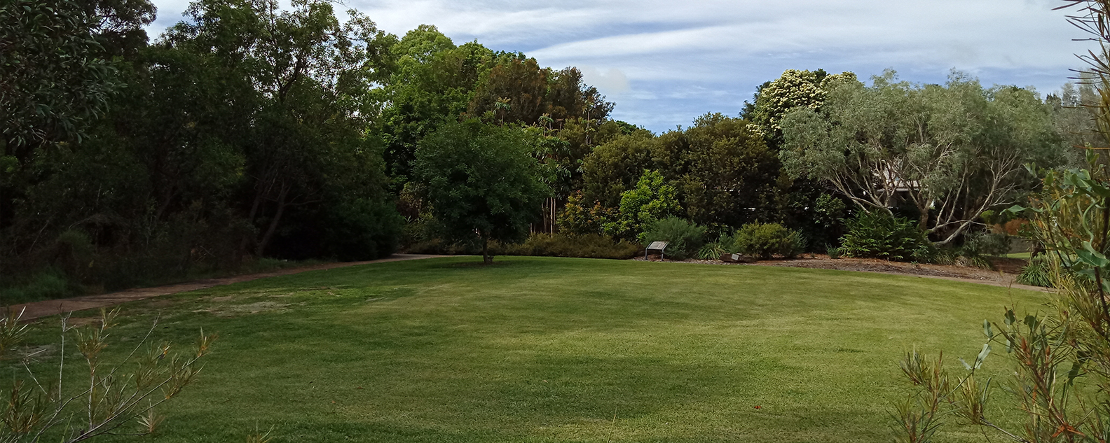 Lawn area surrounded by trees