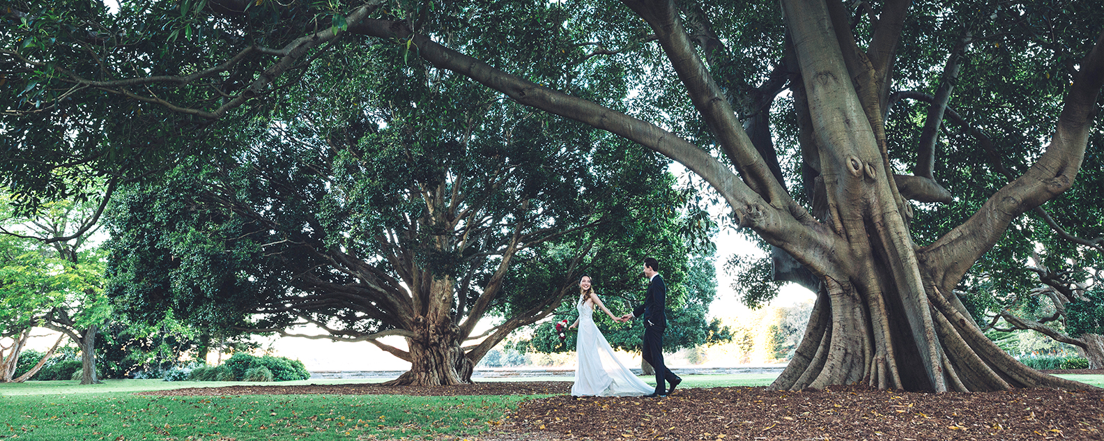 Bride and groom walk under a fig tree