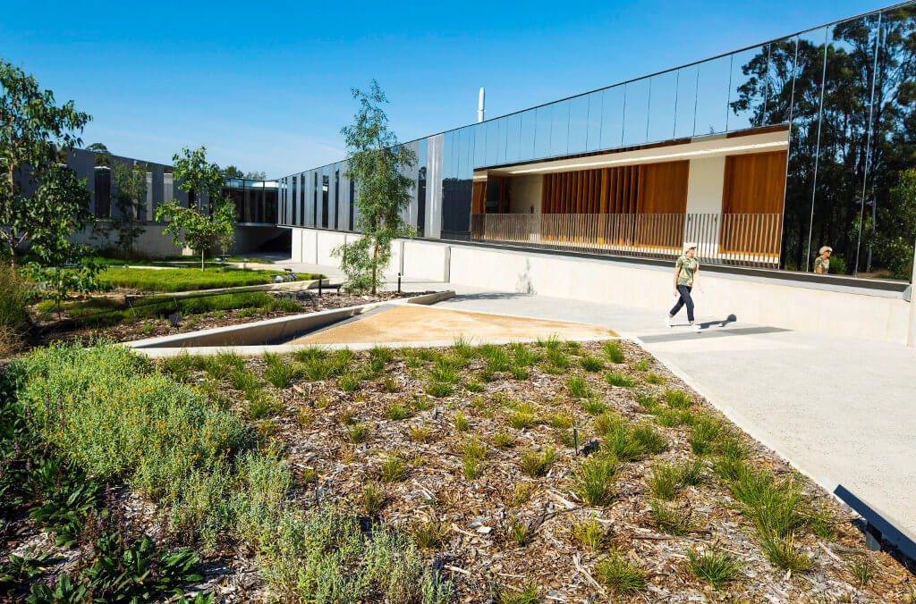 aus plantbank close up 