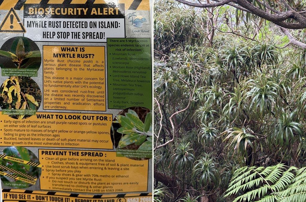 Myrtle Rust warning sign and a forest on Lord Howe Island