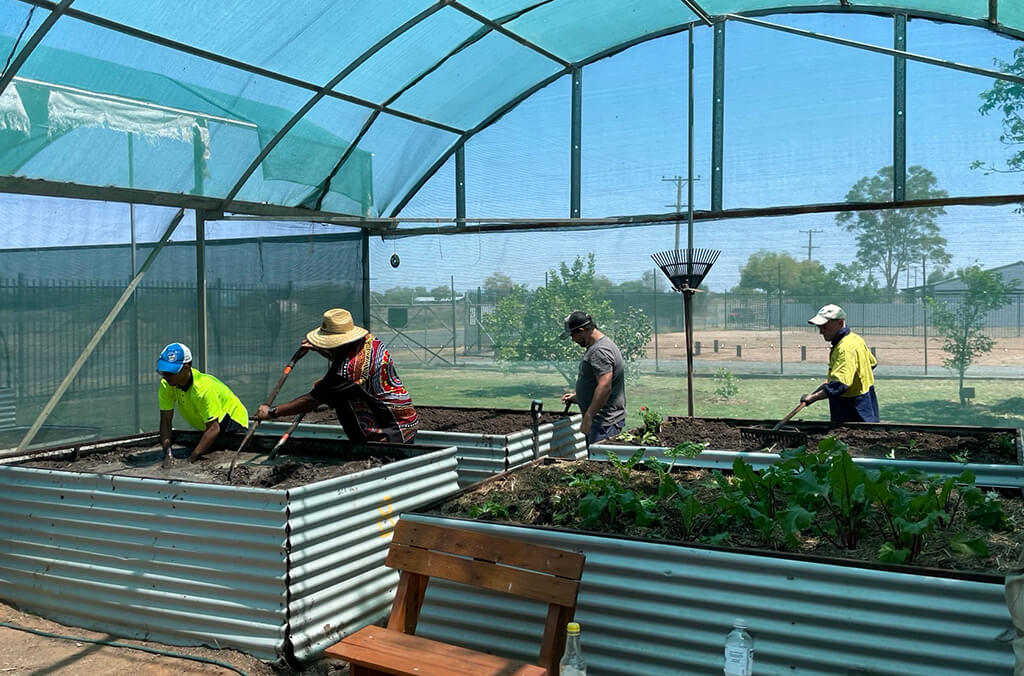 Gardeners tend to plants at Bourke Community Garden