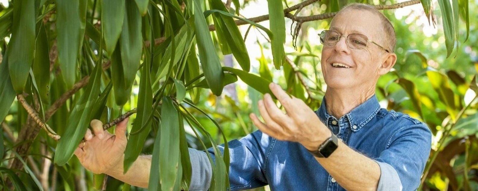 Brett Summerell looking at the leaves on a tree at Royal Botanic Gardens Sydney