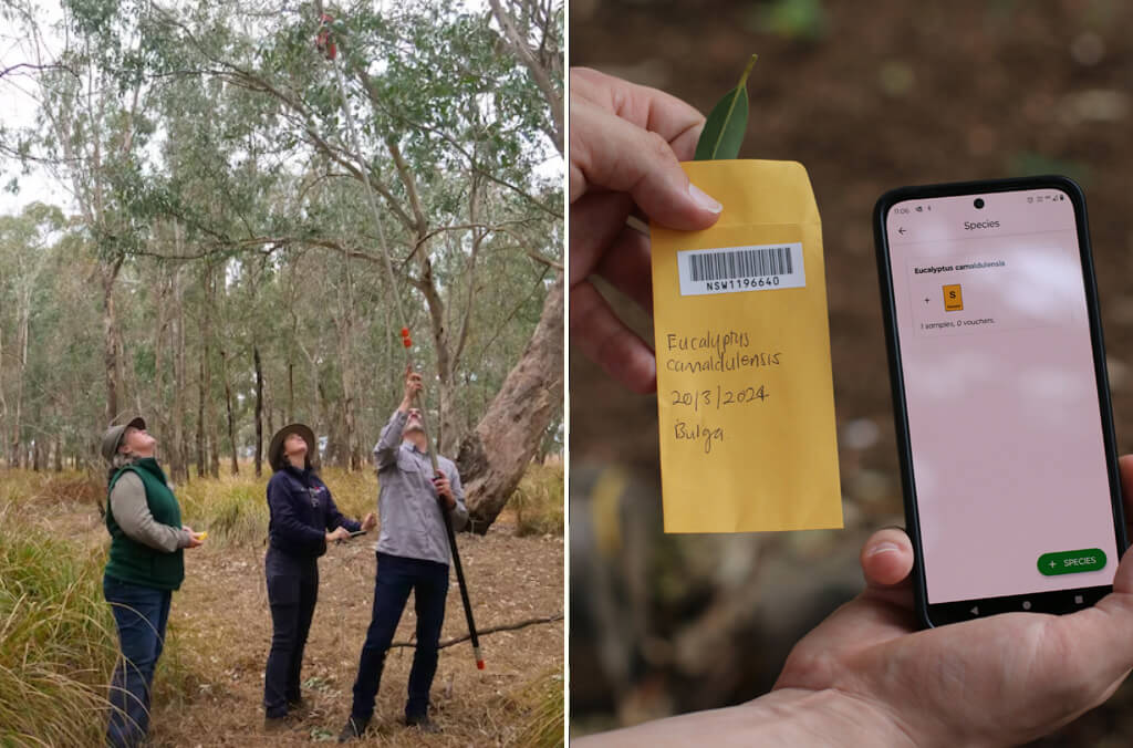 Scientists work in the field and a close up of a mobile phone